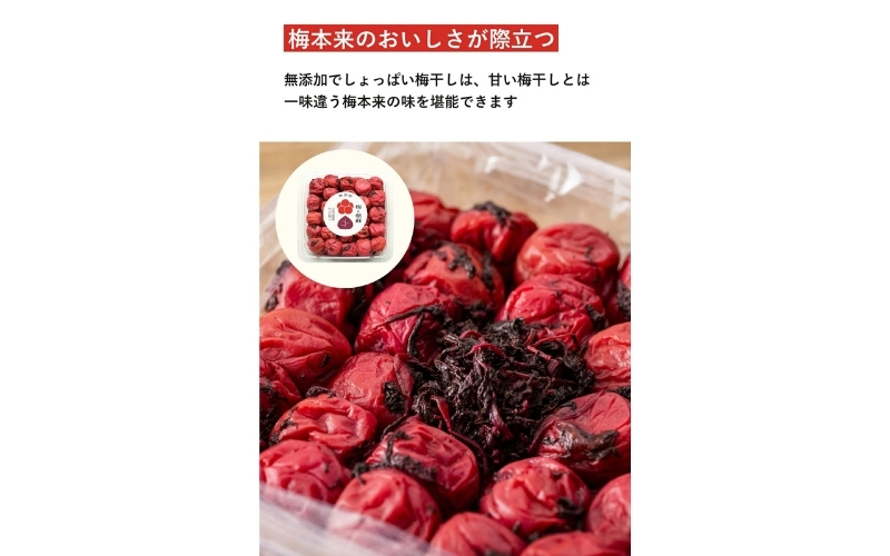 【最大３ヶ月待ち】【無添加梅干し】天日塩と紫蘇だけで漬けた梅干し | 梅干し 無添加 南高梅 梅ボーイズ うめひかり 天然塩 紫蘇 しそ ご飯のお供【umehkr002A】