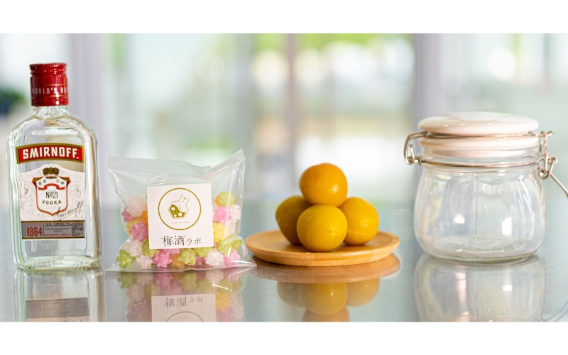 梅酒作成ミニキット（ウォッカベース）umslabo002A