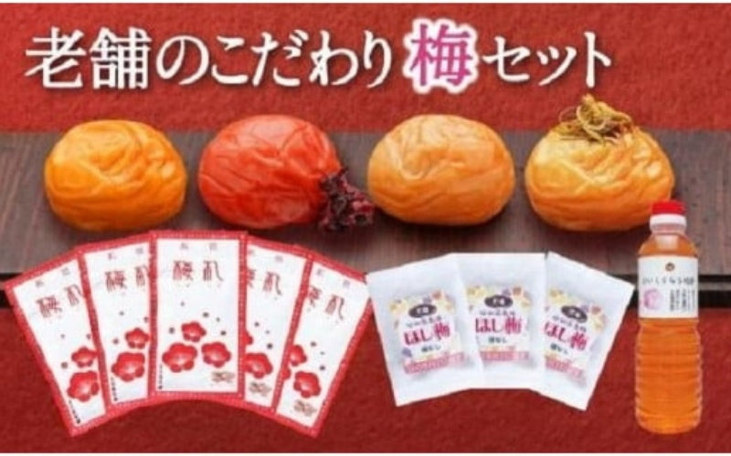 梅満喫セット 特選A級 紀州南高梅 味わい4種800g 千年の知恵 梅干し 梅札 和歌山県産 hoso015A