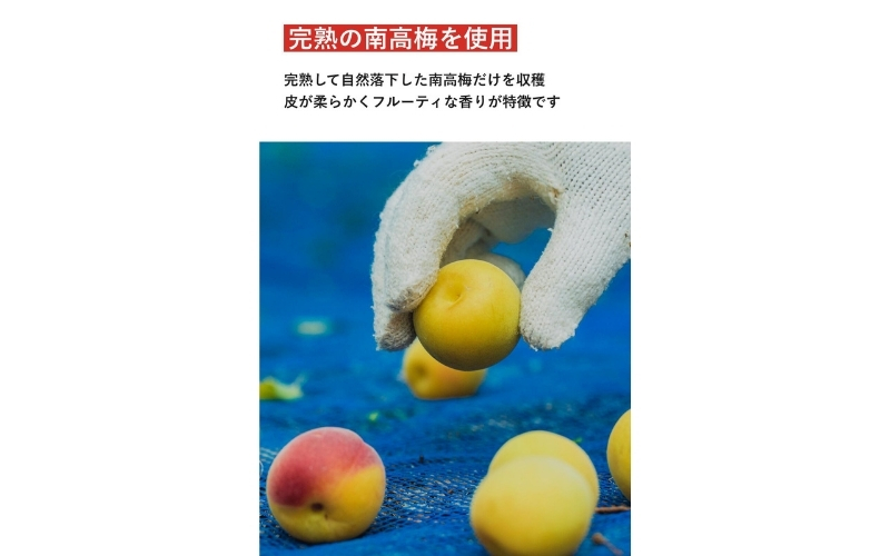【最大３ヶ月待ち】【無添加梅干し】天日塩と紫蘇だけで漬けた梅干し | 梅干し 無添加 南高梅 梅ボーイズ うめひかり 天然塩 紫蘇 しそ ご飯のお供【umehkr002A】