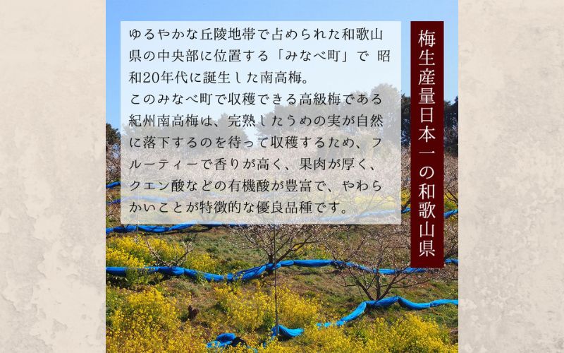 縲先「驟偵大コ螻句埋蜈ォ thetime 720ml縲縲紳zmn016縲