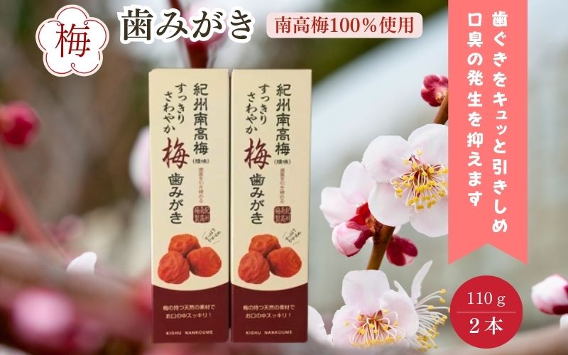 紀州南高梅　すっきりさわやか梅歯みがき　koya001A
