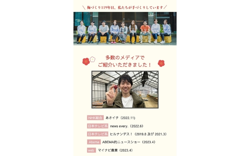 【最大３ヶ月待ち】【無添加梅干し】天日塩と紫蘇だけで漬けた梅干し | 梅干し 無添加 南高梅 梅ボーイズ うめひかり 天然塩 紫蘇 しそ ご飯のお供【umehkr002A】