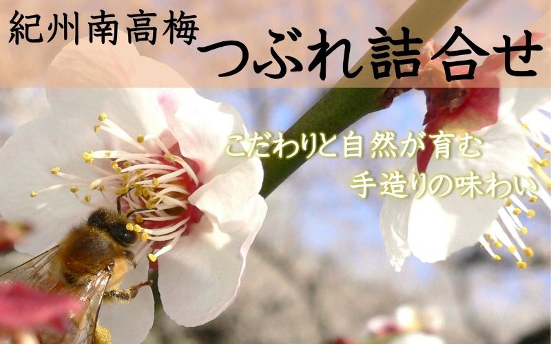 縺泌ョカ蠎ュ逕ィ 螟ァ螳ケ驥 邏蟾槫漉鬮俶「 縺、縺カ繧梧「 縲縺縺吝。ゥ縺、縺カ繧(蝪ゥ蛻邏6%)縺ィ縺励◎貍ャ縺、縺カ繧(蝪ゥ蛻邏15%)縺ョ隧ー蜷医○蜷700g縲 yamada007A