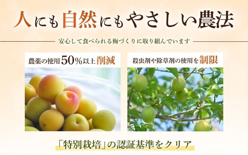 無添加 塩だけ 昔ながらの梅干し 南高梅 紀州梅香 完熟 白干し梅 訳あり つぶれ梅1kg（500gパック×2個）塩分20% 20-G baiko010
