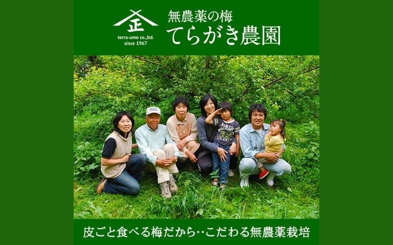 完熟梅エキス 50g 南高梅使用 trgk002A