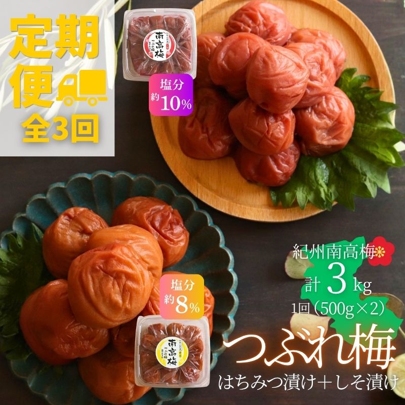 【定期便全3回】 【塩分 はちみつ約8％ しそ漬け約10％】和歌山県紀州南高梅 つぶれ はちみつ漬け＆しそ漬け 訳あり 500g×2｜甘口・爽やか梅干 梅 うめ 減塩　【agrjpn-tkb001】