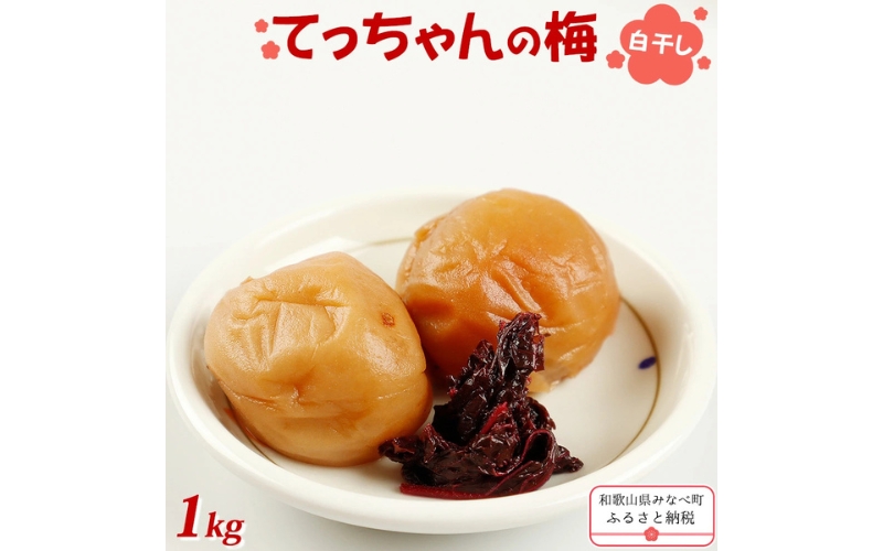 てっちゃんの梅(白干し梅) matunou001A