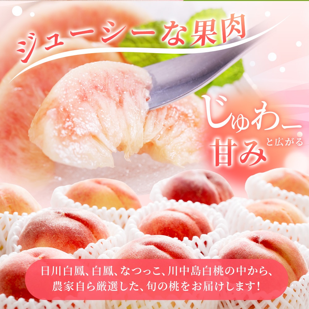 【先行予約】桃 極上秀品 約2kg 6〜8個入 【2026年6月下旬頃から7月下旬頃順次発送】 【BK002-kgr001A】