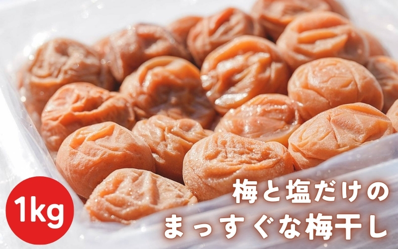 梅と塩だけのまっすぐな梅干し 1kg 塩分約20％｜昔ながらの製法 自家農園 和歌山みなべ町 梅干 白干し 梅 うめ 南高梅 紀州梅干 ギフト【masugu001A】