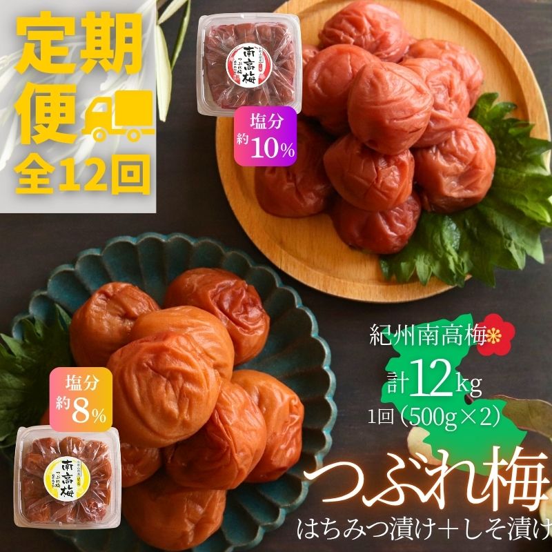 【定期便全12回】 【塩分 はちみつ約8％ しそ漬け約10％】和歌山県紀州南高梅 つぶれ はちみつ漬け＆しそ漬け 訳あり 500g×2｜甘口・爽やか梅干 梅 うめ 減塩　【agrjpn-tkb003】