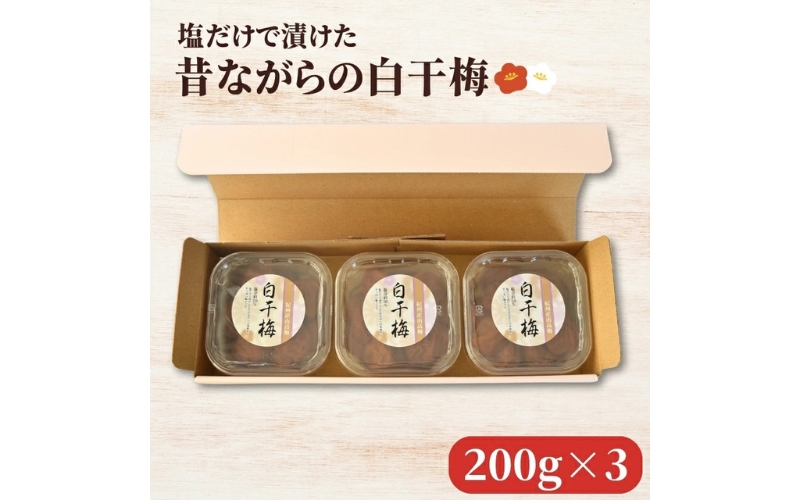 紀州南高梅 塩だけで漬けた昔ながらの白干梅3個詰め合わせ 200g×3パック 塩分約20％ hjumys025