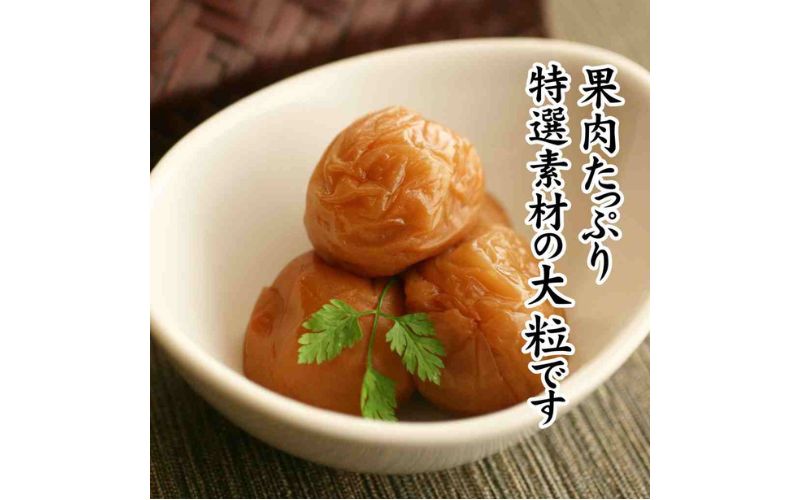 çŽå·ç£å髿¢
ã¿ã€ãµã12ç²å
¥ã æžå¡©1.5% tnht002A