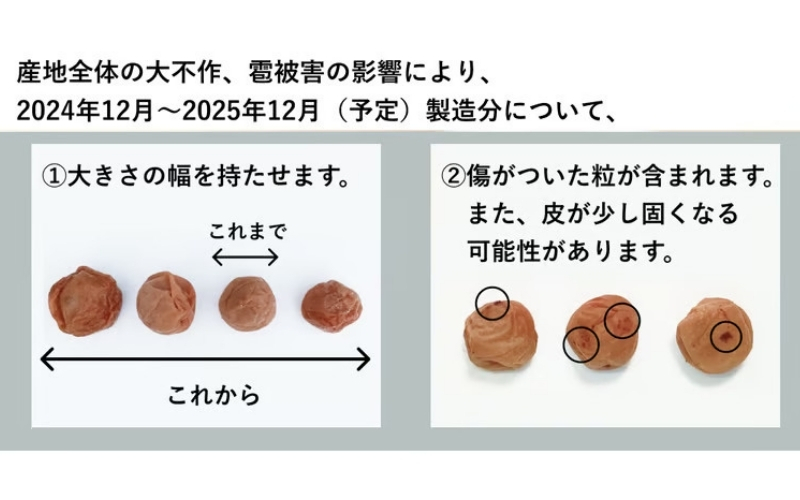 【最大３ヶ月待ち】【無添加梅干し】天日塩と紫蘇だけで漬けた梅干し1kg/塩分約15％　 梅干し 無添加 南高梅 梅ボーイズ うめひかり 天然塩 紫蘇 しそ ご飯のお供【umehkr002A】