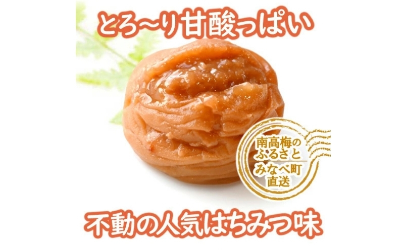 【旨味を逃がさない独自製法】はちみつ梅 特選A級 贈答用 ギフトに はちみつ漬800g 紀州南高梅 はちみつ梅干し【hoso002A】