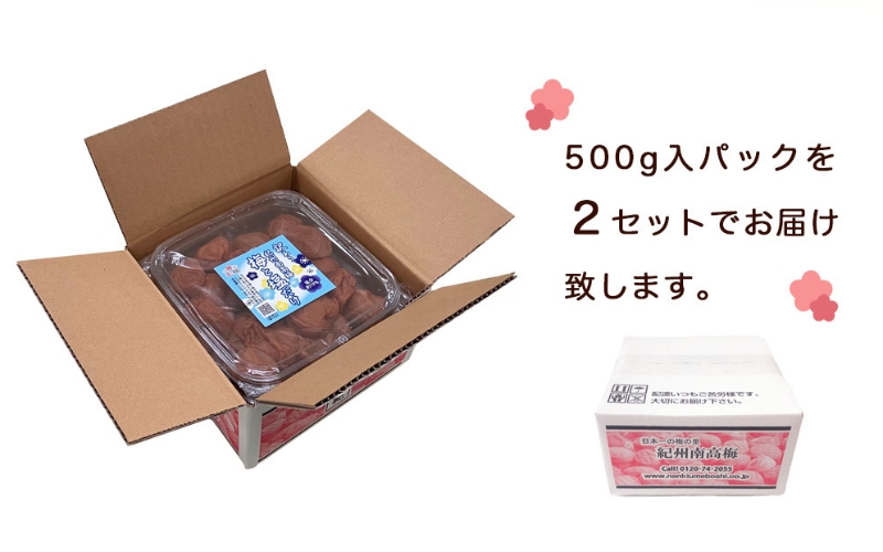 訳あり梅干し まけん梅 梅と塩だけ 1kg（500g×2）紀州南高梅 塩分約19% nankiume008A