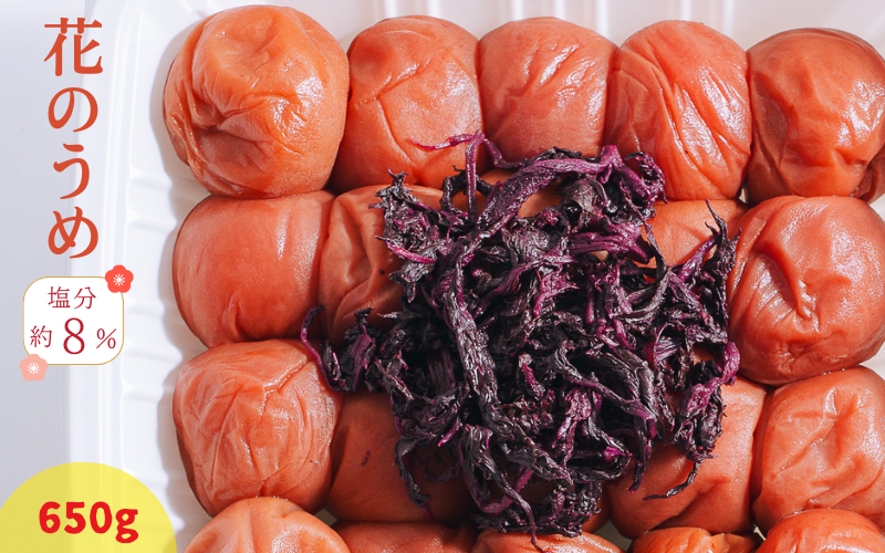 紀州南高梅 花のうめ（しそ漬け）650g 塩分約8％ | 【梅干し しそ 梅 ギフト 和歌山県産】ngao004A