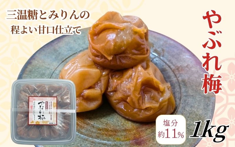 【やぶれ梅】 紀州南高梅  塩分11％ やぶれ梅 1kg 【wtgcnou002A】