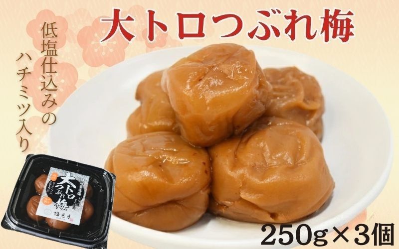 紀州南高梅 大トロつぶれ梅 250g×3個／塩分8％  【mryms002A】