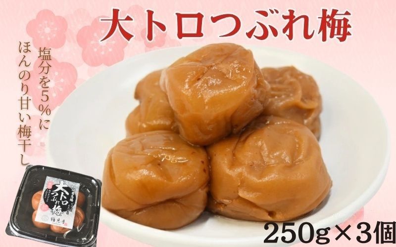 紀州南高梅 大トロつぶれ梅 250g×3個／塩分5％　 【mryms003A】