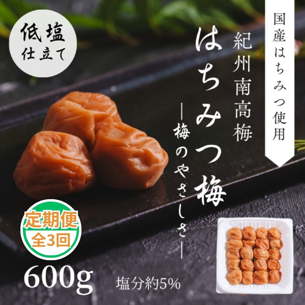 紀州南高梅使用 梅のやさしさ はちみつ梅 600g 塩分約5％ 定期便 全3回 ｜ 和歌山県 みなべ町 梅干し 梅干 うめぼし はちみつ梅 うすしお 低塩 減塩 紀州南高梅 ギフト 贈り物 プレゼント 定期便 【ngao-tkb005】