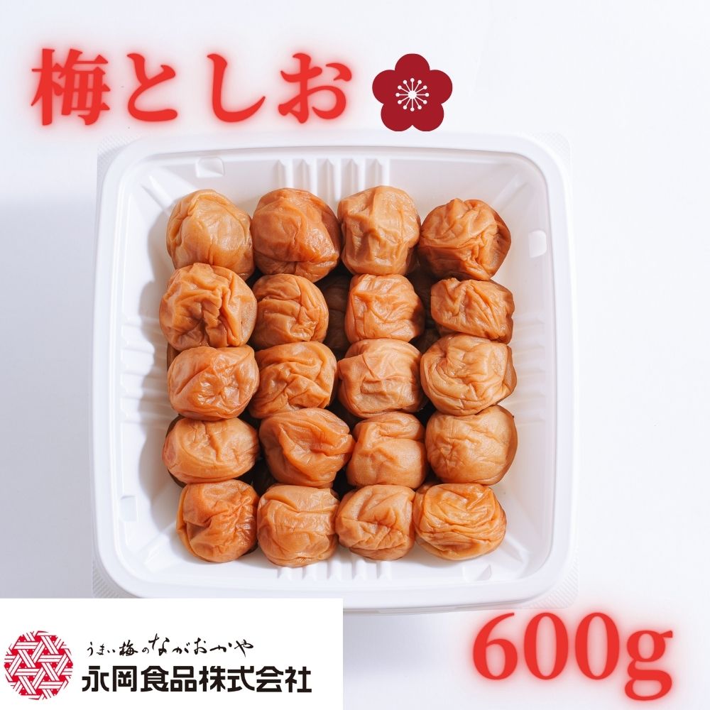 紀州南高梅使用 梅と塩 白干し 600g 塩分約19％ 【ngao022】