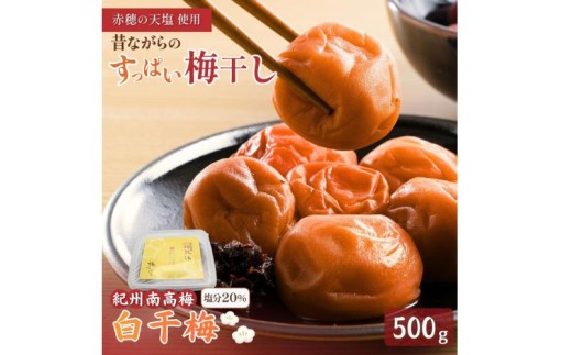 白干梅 500g 【mnbcho001B】