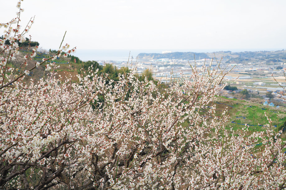 縲後≧縲阪≧繧∽ク也阜荳縺ョ蜈豌励↑縺セ縺。縺・縺上j
