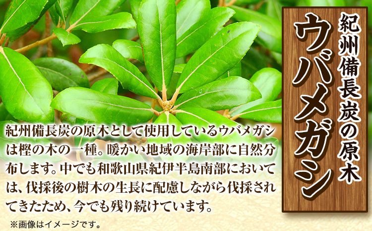 紀州備長炭 訳あり 約4kg 望商店 《30日以内に出荷予定(土日祝除く)》 和歌山県 日高川町 備長炭 紀州備長炭 炭 約4kg 高級白炭