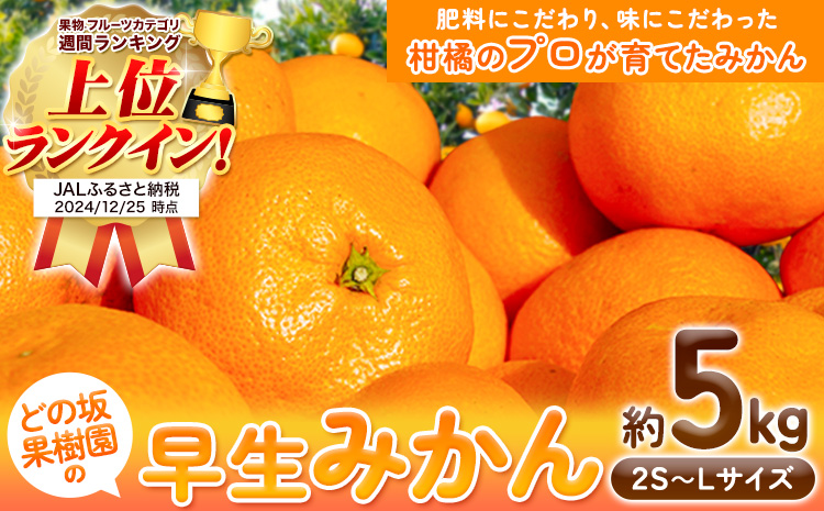 早生 みかん 5kg(2S〜Lサイズ) どの坂果樹園《12月上旬-1月末頃出荷》 和歌山県 日高川町 早生みかん 柑橘 ミカン 果物 フルーツ くだもの みかん 早生