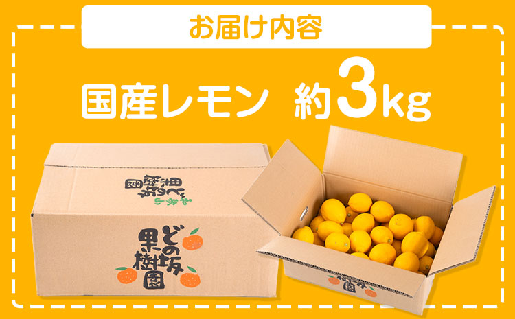 レモン 国産 レモン 3kg(L～4Lサイズ) ノーワックス 減農薬 どの坂果樹園《2026年2月上旬-5月末頃出荷》 和歌山県 日高川町 レモン れもん 檸檬 旬 果物 フルーツ 柑橘 産地直送 送料無料(F)
