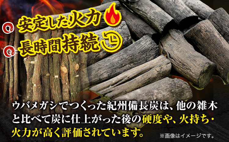 紀州備長炭 荒並 約2kg 望商店 《30日以内に出荷予定(土日祝除く)》 和歌山県 日高川町 備長炭 紀州備長炭 炭 約2kg 高級白炭 BBQ 