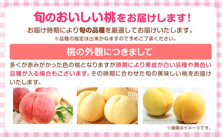 桃 かつらぎ町産 約 2kg 紀農人株式会社《2025年6月上旬-8月中旬頃出荷》 和歌山県 日高川町 果物 フルーツ 桃 もも モモ 旬