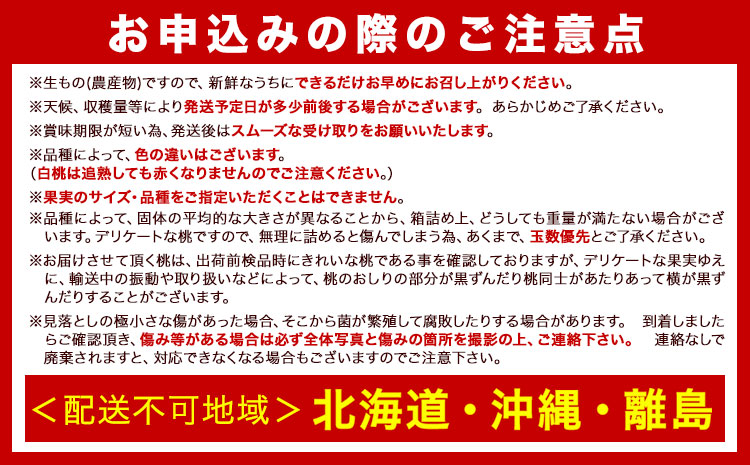 和歌山の桃 秀選品 約2kg 1箱 厳選館《2025年6月末-8月下旬出荷》和歌山県 日高川町 果物 フルーツ 桃 もも【配送不可地域あり】