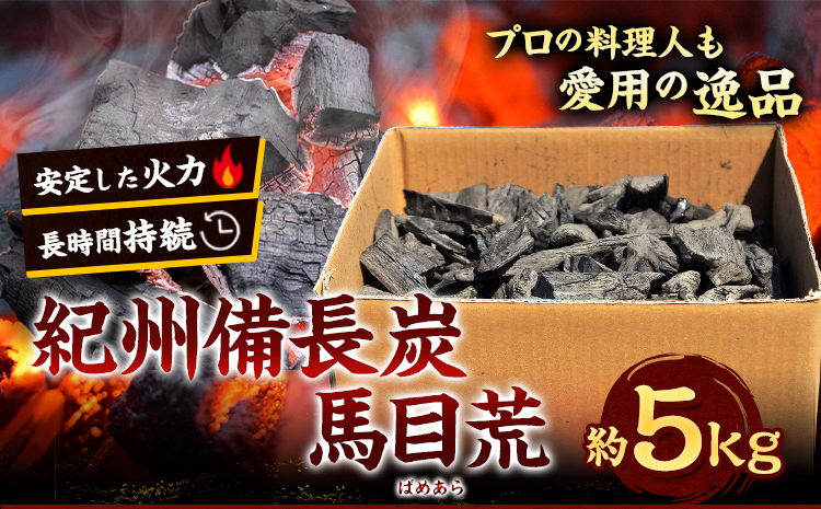 紀州備長炭 馬目荒 約5kg 株式会社紀 《30日以内に出荷予定(土日祝除く)》 和歌山県 日高川町 備長炭 炭 プロの 料理人 愛用