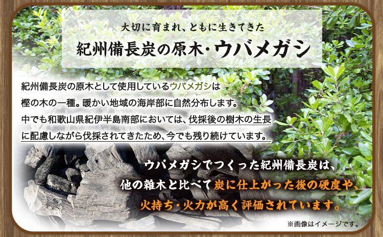 紀州備長炭 馬目荒 約15kg 株式会社紀 《30日以内に出荷予定(土日祝除く)》 和歌山県 日高川町 備長炭 炭 プロの 料理人 愛用