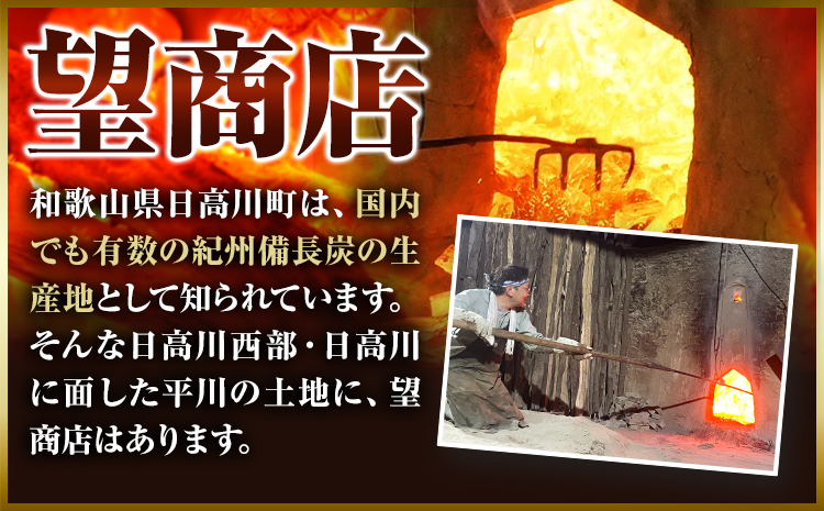 紀州備長炭 訳あり 約4kg 望商店 《30日以内に出荷予定(土日祝除く)》 和歌山県 日高川町 備長炭 紀州備長炭 炭 約4kg 高級白炭