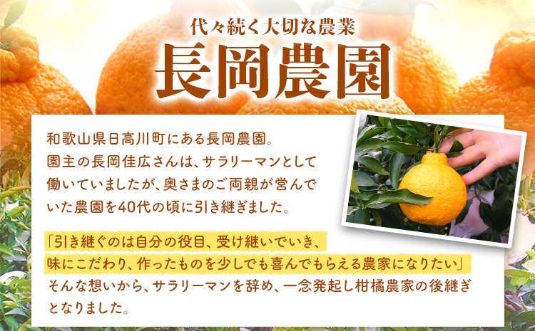 紅八朔 約10kg 長岡農園《2025年3月下旬-5月中旬頃出荷》 和歌山県 日高川町 紅八朔 八朔 はっさくハッサク