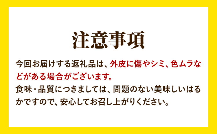 はるか 約7kg S～2L 家庭用 サイズ混合 横川果樹園 《2月上旬-3月中旬頃より出荷》 和歌山県 日高川町 はるか みかん 果物 柑橘 フルーツ くだもの