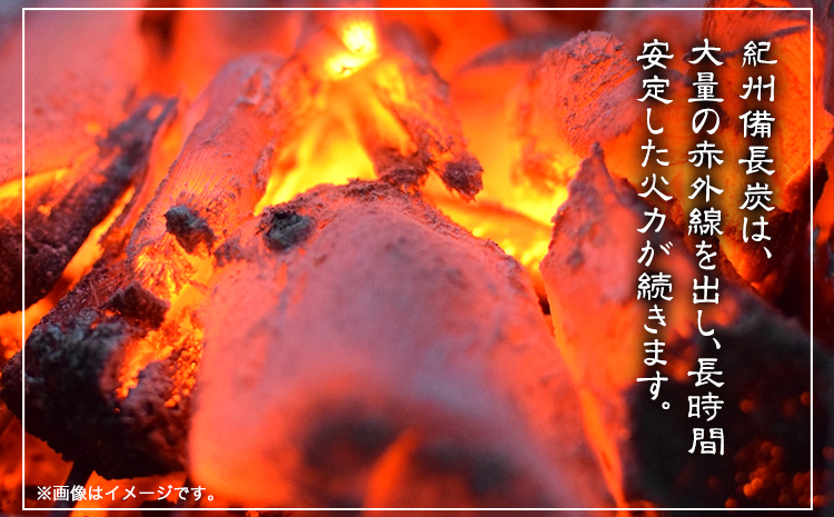紀州備長炭 馬目小丸 約15kg 株式会社紀 《30日以内に出荷予定(土日祝除く)》 和歌山県 日高川町 備長炭 炭 プロの 料理人 愛用