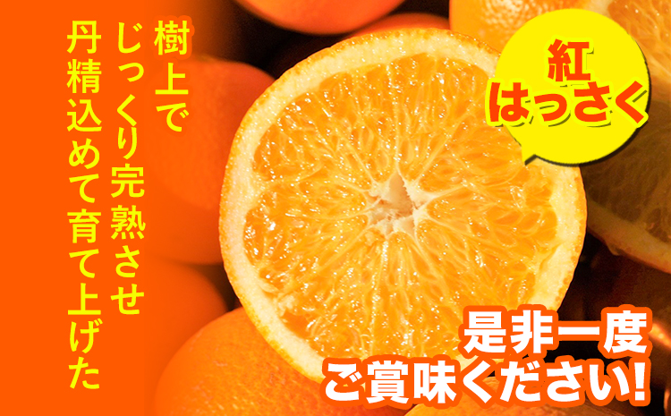 【先行受付】樹上完熟 紅はっさく 約10kg S～3L 家庭用 サイズ混合 横川果樹園 《2025年4月上旬-5月上旬頃出荷》 和歌山県 日高川町 みかん 完熟 柑橘 フルーツ 八朔 はっさく