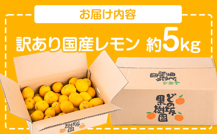 レモン 訳あり 国産 レモン 5kg (サイズ混合) ノーワックス 減農薬 どの坂果樹園《2025年2月上旬-5月末頃より出荷》 和歌山県 日高川町 レモン れもん 檸檬 家庭用 旬 新鮮 果物 柑橘 フルーツ 訳あり 大容量 Lemon remon 送料無料