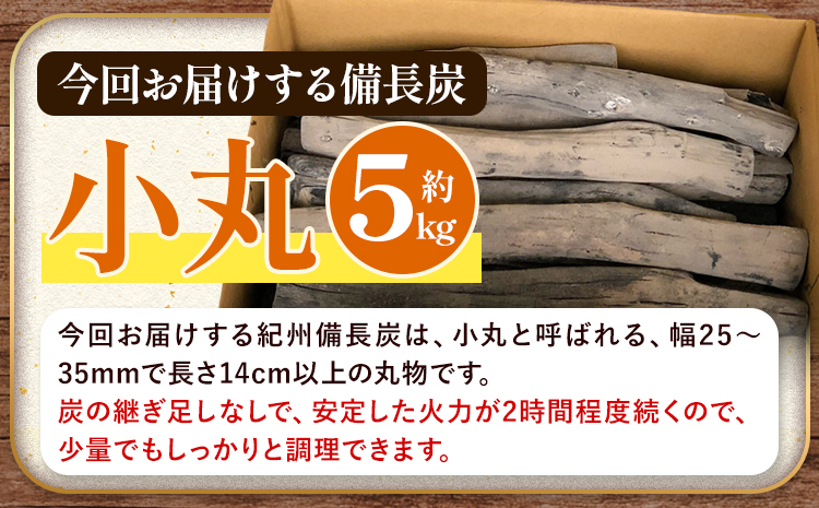 紀州備長炭 小丸 約5kg 望商店 《120日以内に出荷予定(土日祝除く)》 和歌山県 日高川町 備長炭 紀州備長炭 炭 約5kg 高級白炭