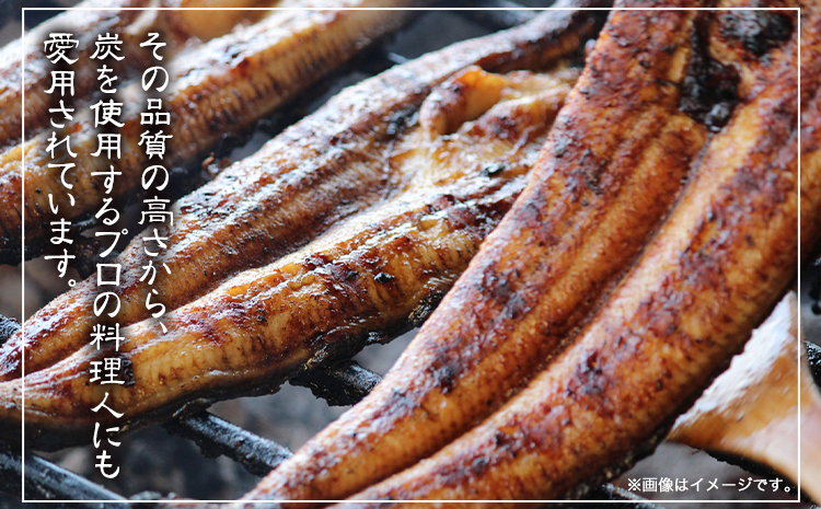 紀州備長炭 馬目荒 約15kg 株式会社紀 《30日以内に出荷予定(土日祝除く)》 和歌山県 日高川町 備長炭 炭 プロの 料理人 愛用