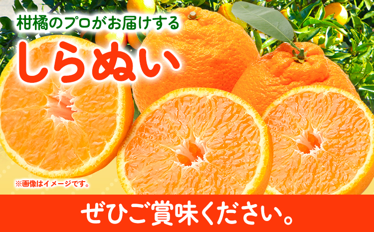 不知火 ( デコポン と同品種 ) しらぬい 約 5kg (L〜5Lサイズ) どの坂果樹園《2月中旬-4月上旬頃出荷》 和歌山県 日高川町 しらぬい 不知火 デコポン でこぽん 旬 果物 フルーツ 柑橘 産地直送 送料無料