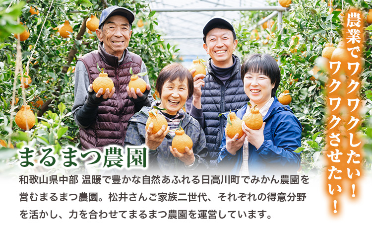 果汁100％ストレートみかんジュース「完熟純しぼり」720ml×1本 まるまつ農園《1月上旬-2月末頃出荷》 和歌山県 日高川町 ジュース じゅーす みかん