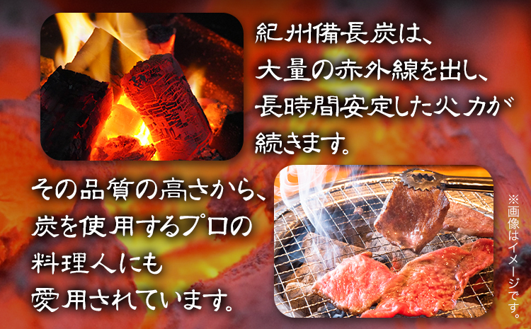 紀州備長炭 半丸 約5kg 望商店 《30日以内に出荷予定(土日祝除く)》 和歌山県 日高川町 備長炭 紀州備長炭 炭 約5kg 高級白炭 BBQ 焚火 アウトドア アウトドア用品