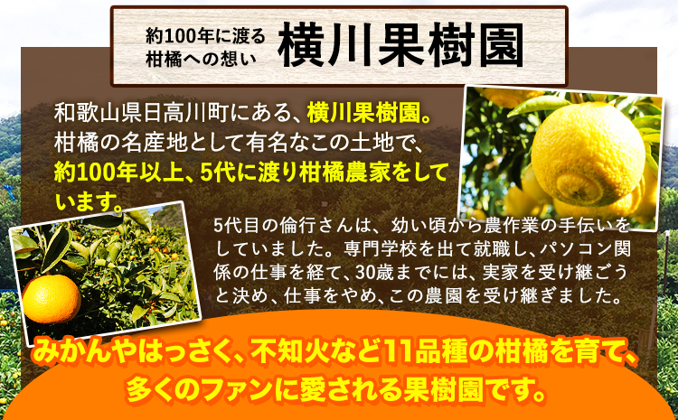 【先行受付】樹上完熟 紅はっさく 約10kg S～3L 家庭用 サイズ混合 横川果樹園 《2025年4月上旬-5月上旬頃出荷》 和歌山県 日高川町 みかん 完熟 柑橘 フルーツ 八朔 はっさく