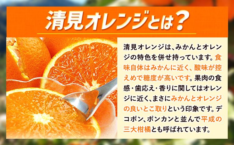 【ご家庭用訳アリ】 紀州有田産清見オレンジ 約5kg 株式会社魚鶴商店《2026年3月下旬-4月中旬頃出荷》 和歌山県 日高川町 オレンジ 柑橘 ご家庭用 フルーツ