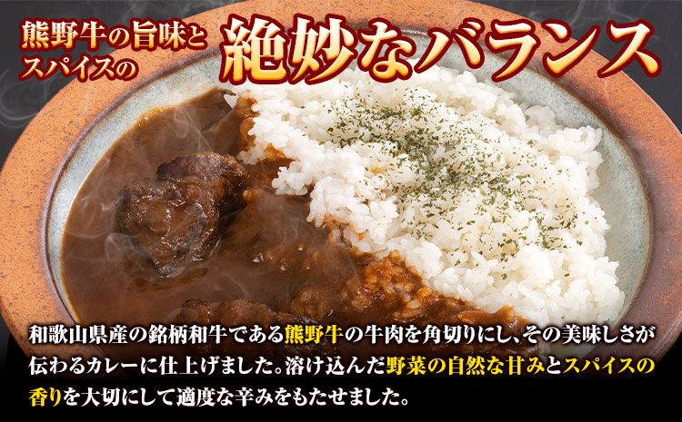 牛肉 熊野牛 カレー 4食セット 株式会社Meat Factory《30日以内に出荷予定(土日祝除く)》和歌山県 日高川町 熊野牛 牛 和牛 焼肉 希少部位 ミスジ 焼肉